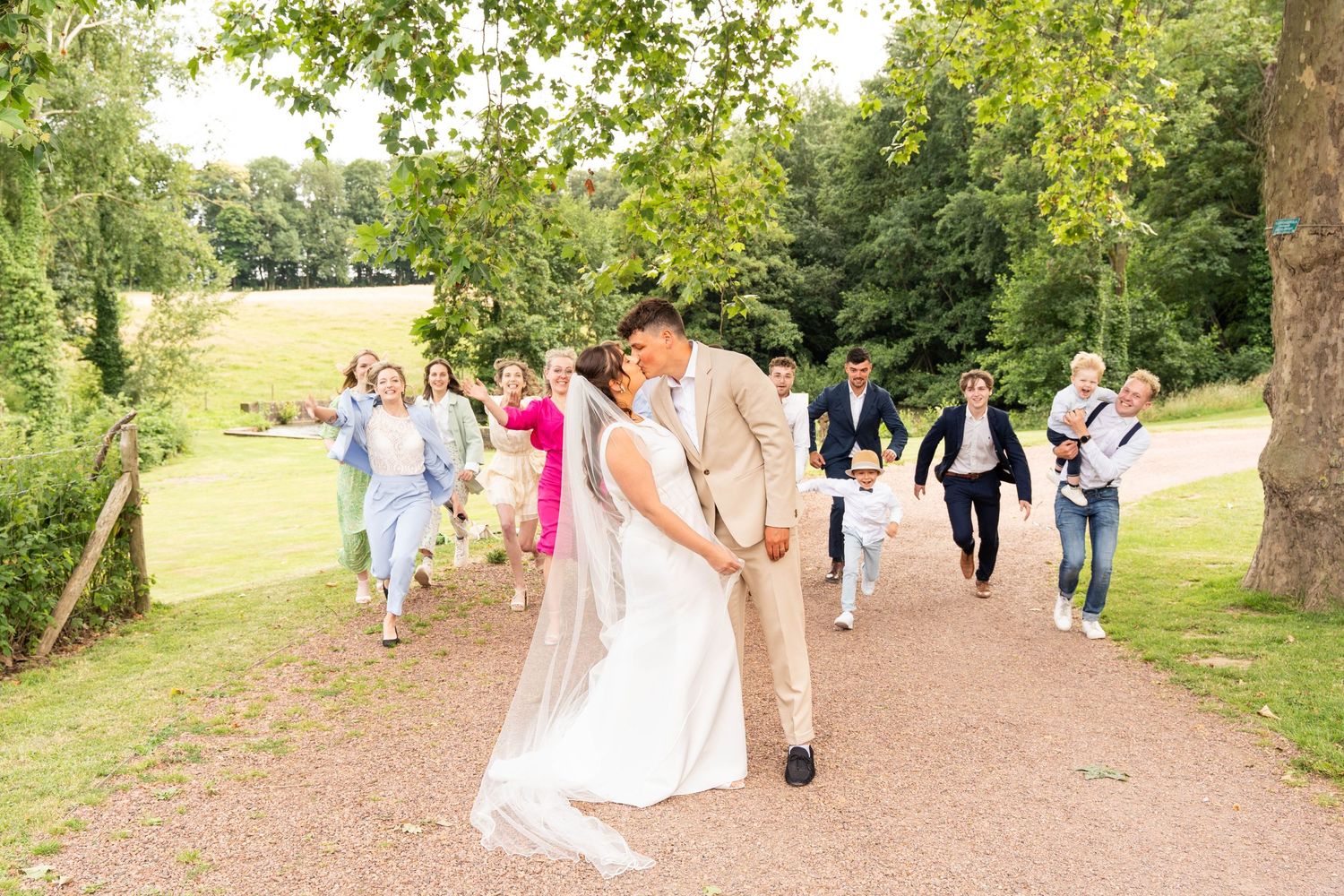 Wedding party walks along a tree-lined path on a sunny afternoon.