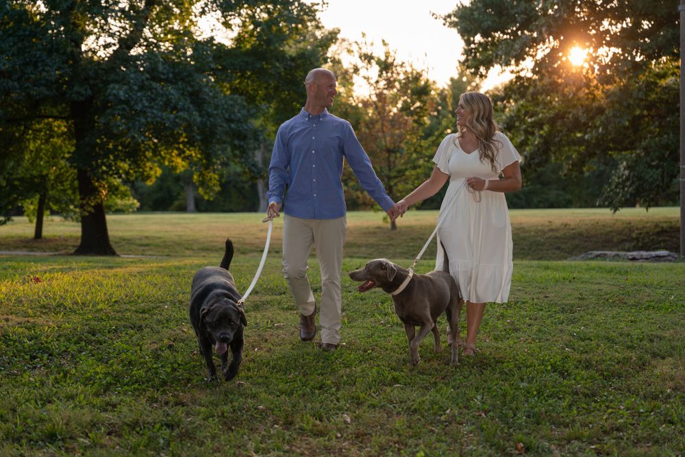 Two people hold hands while walking their dogs on grassy lawn during golden hour.