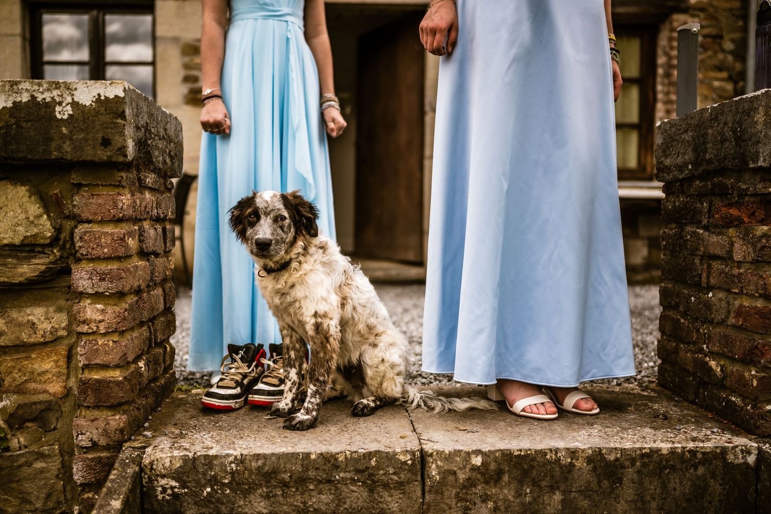 Huwelijk met hond tussen bruidsmeisjes in blauwe jurken bij landelijke trouwlocatie, spontaan moment vastgelegd door Bart Boodts Photography