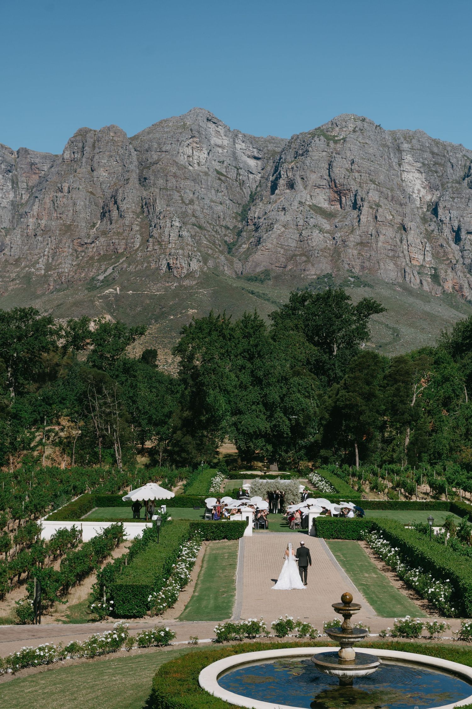 A panoramic view of a wedding ceremony setup with mountain backdrop at Molenvliet Wine Estate in South Africa.