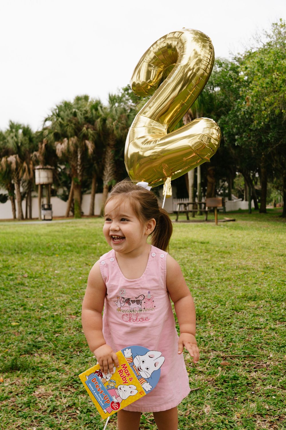 Child birthday photography
