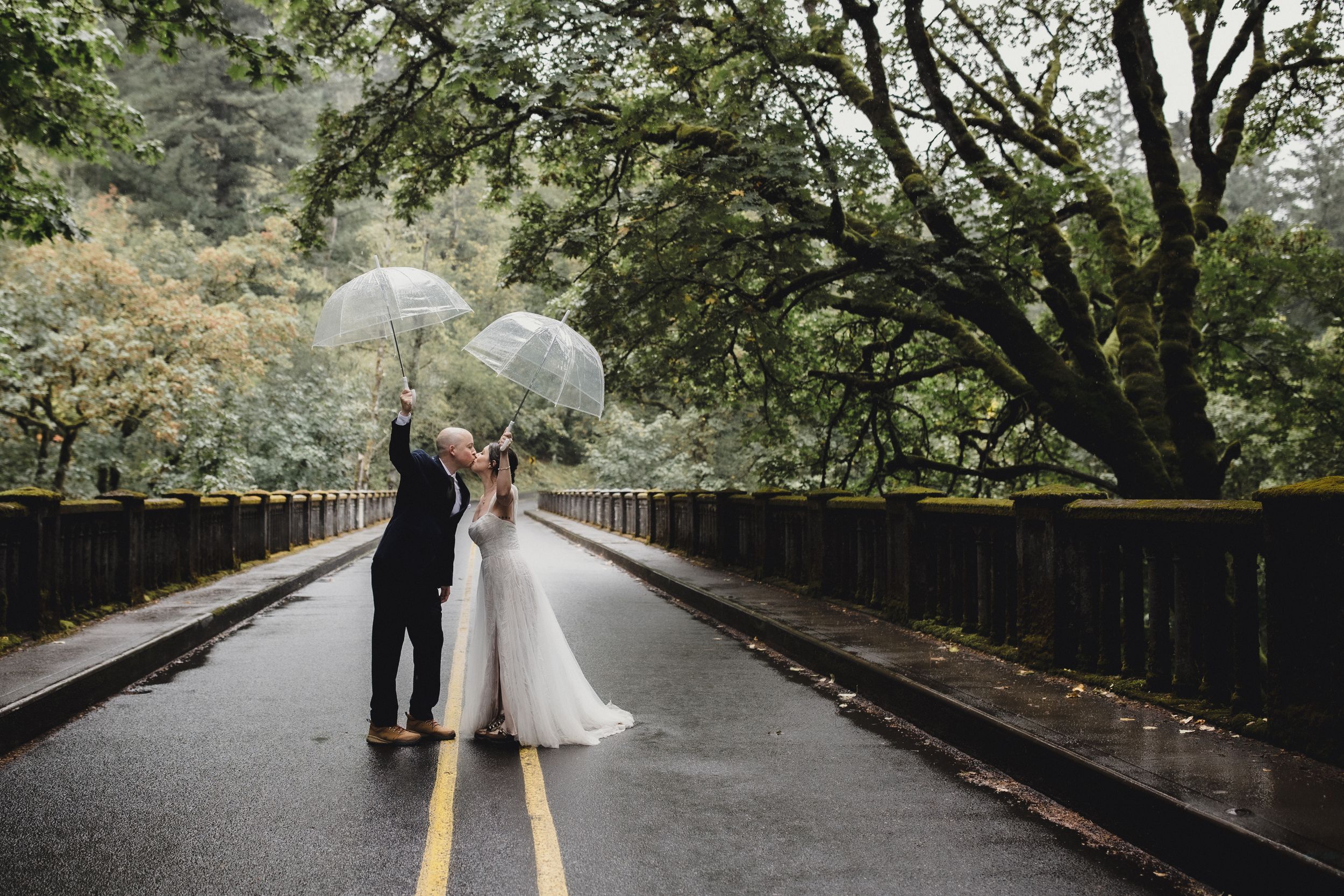 A long wooden bridge path stretches through a green forest canopy on a rainy day.