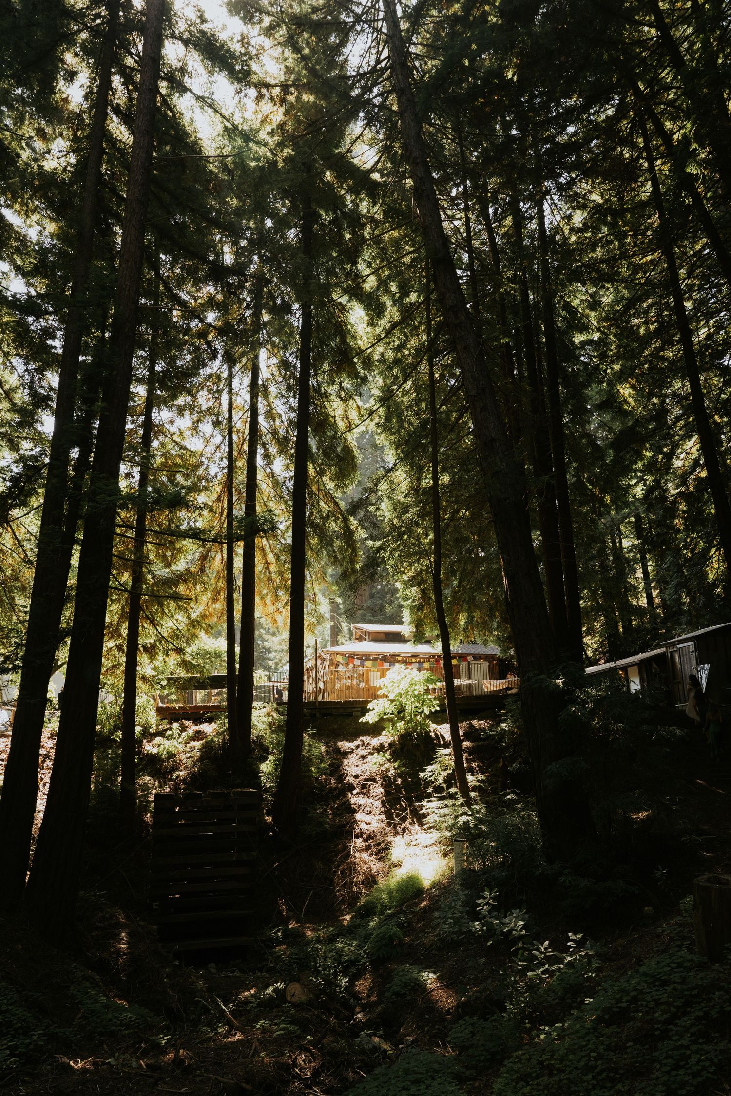 henry miller library big sur wedding venues