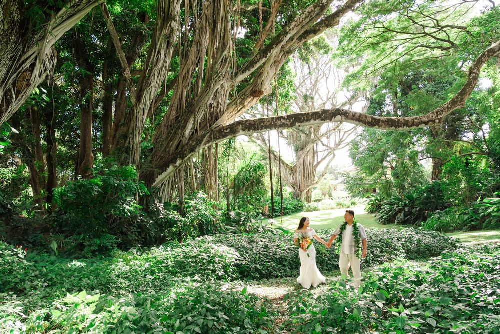 Two people walking hand in hand on a lush forest path beneath towering banyan trees and tropical foliage.