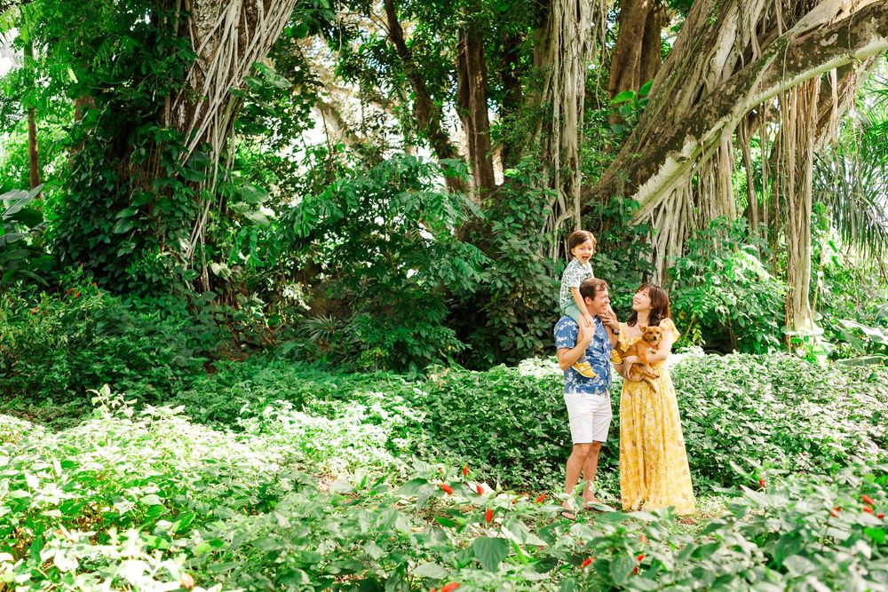 People explore a lush green forest path surrounded by tall trees and dense tropical vegetation.