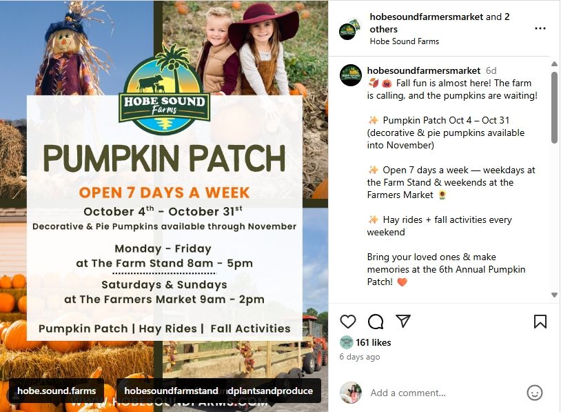Hobe Sound Pumpkin Patch, Treasure Coast Pumpkin Patch, Port St Lucie Pumpkin Patch, Stuart Pumpkin Patch, Palm City Pumpkin Patch