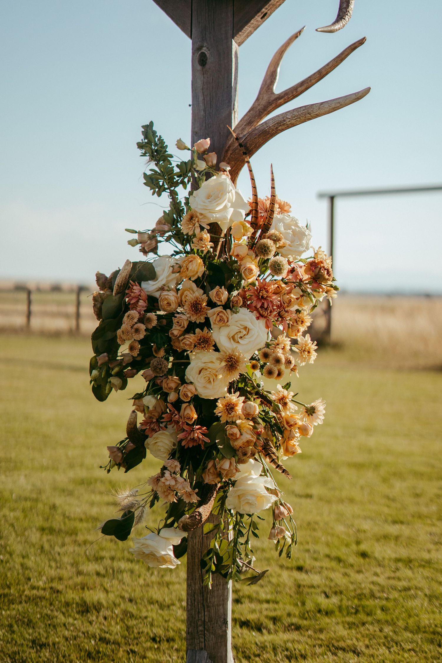 Looking for a professional wedding photographer to capture every unforgettable moment? We specialize in timeless, romantic  photography