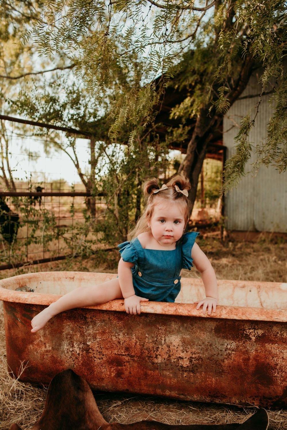 Rocha Family Session