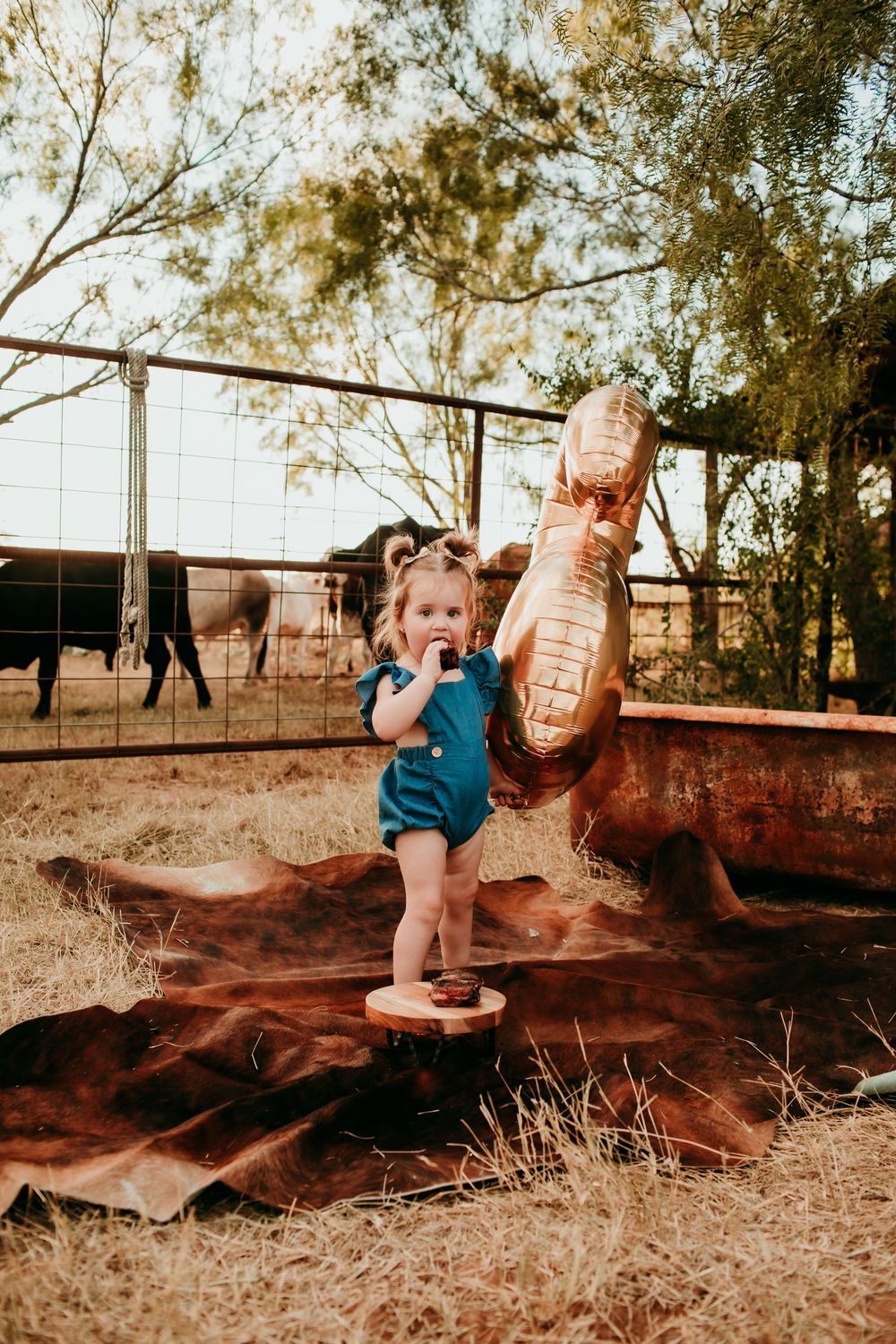 Rocha Family Session