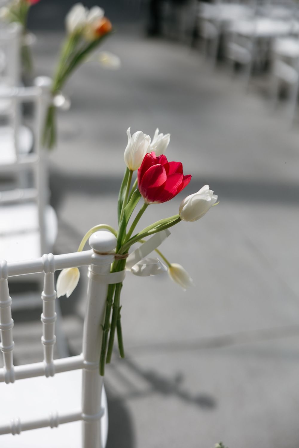Red and white tulips tied to white ceremony chairs create an elegant aisle decoration for an outdoor wedding.