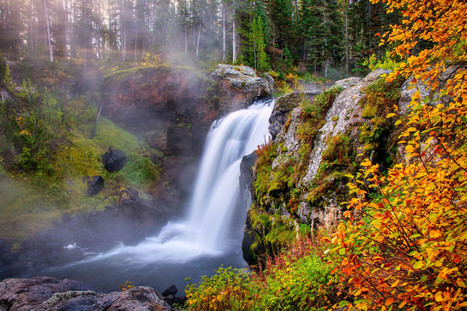 A scenic waterfall cascades through vibrant autumn foliage and misty forest in the Pacific Northwest.