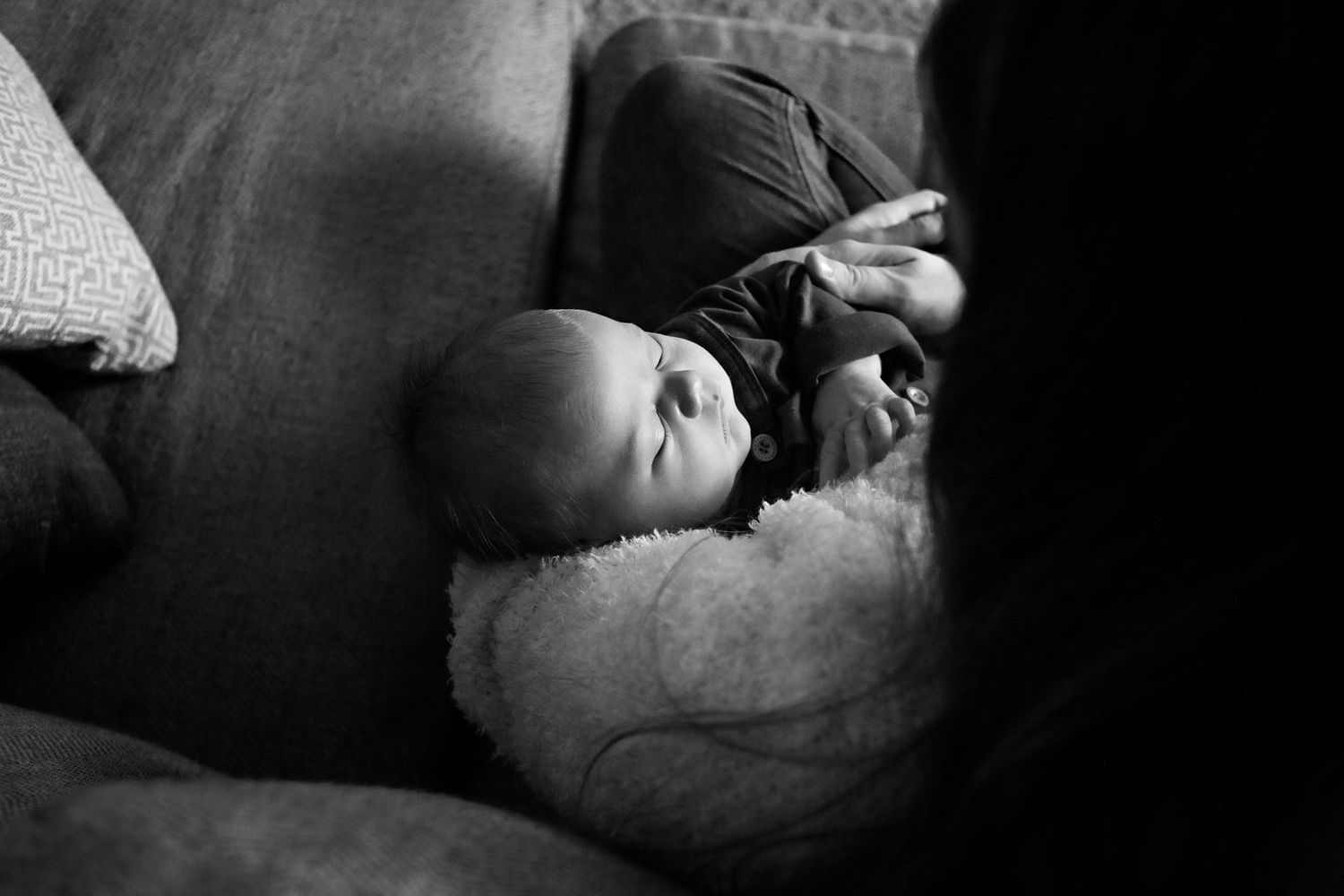 lifestyle in home family and newborn photos