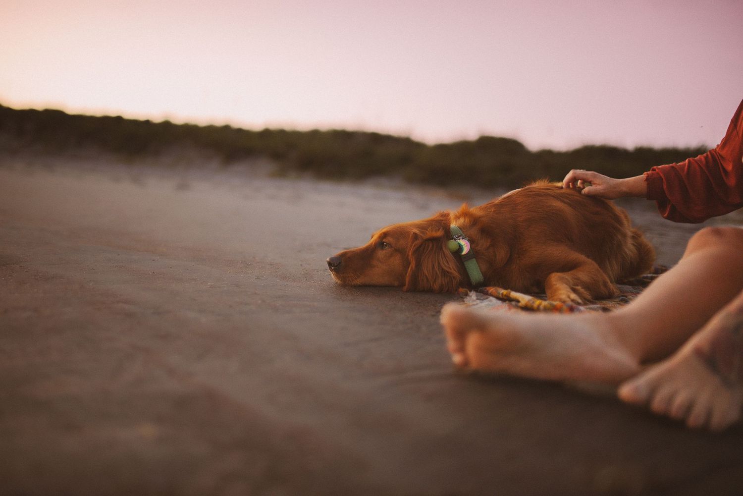 A person's bare feet walking along a sandy beach at sunset with waves rolling in.