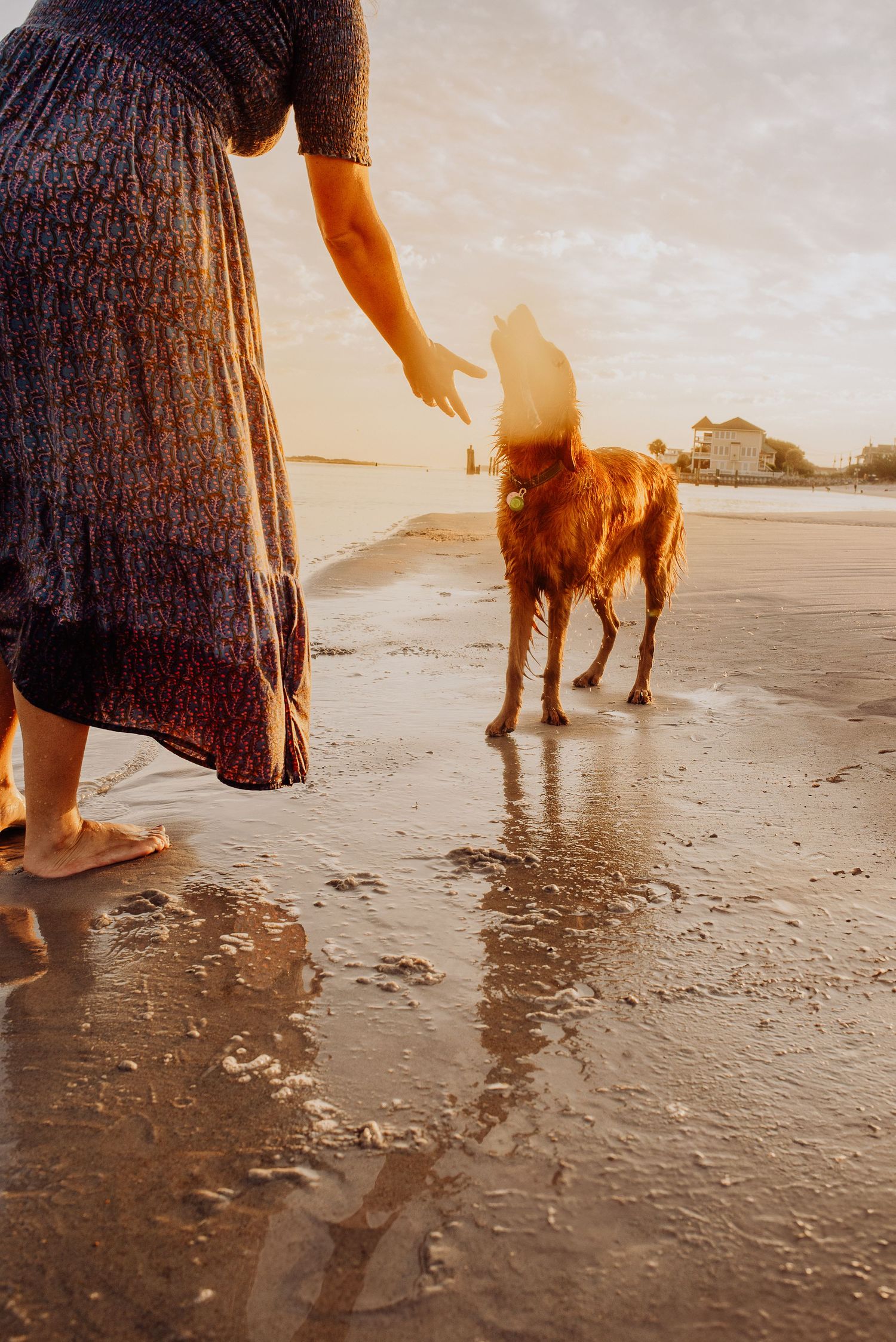 Cropped sequence of feet and legs walking along a wet sandy beach at sunset with golden light reflecting off the water.