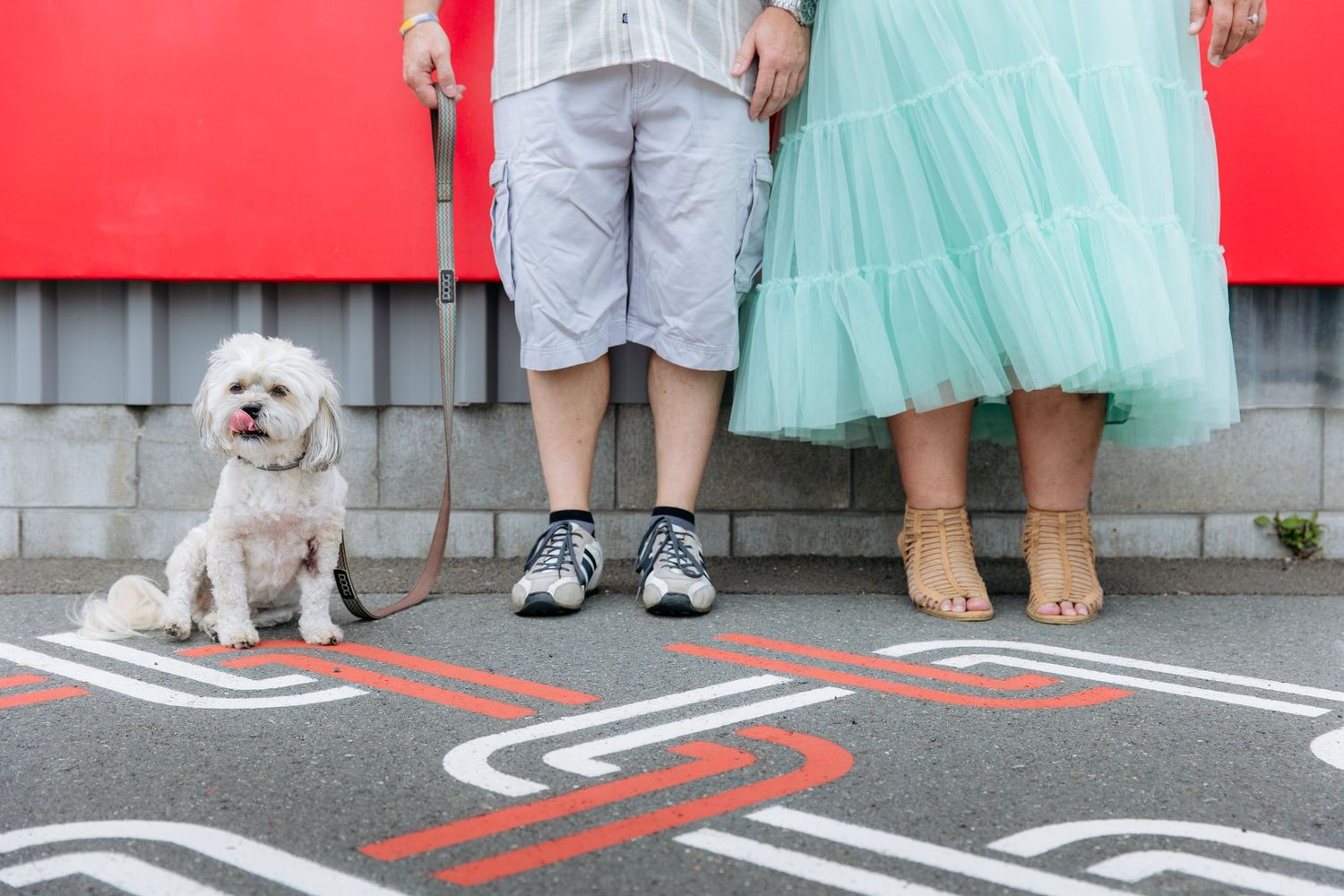 Couple with dog during engagement shoot