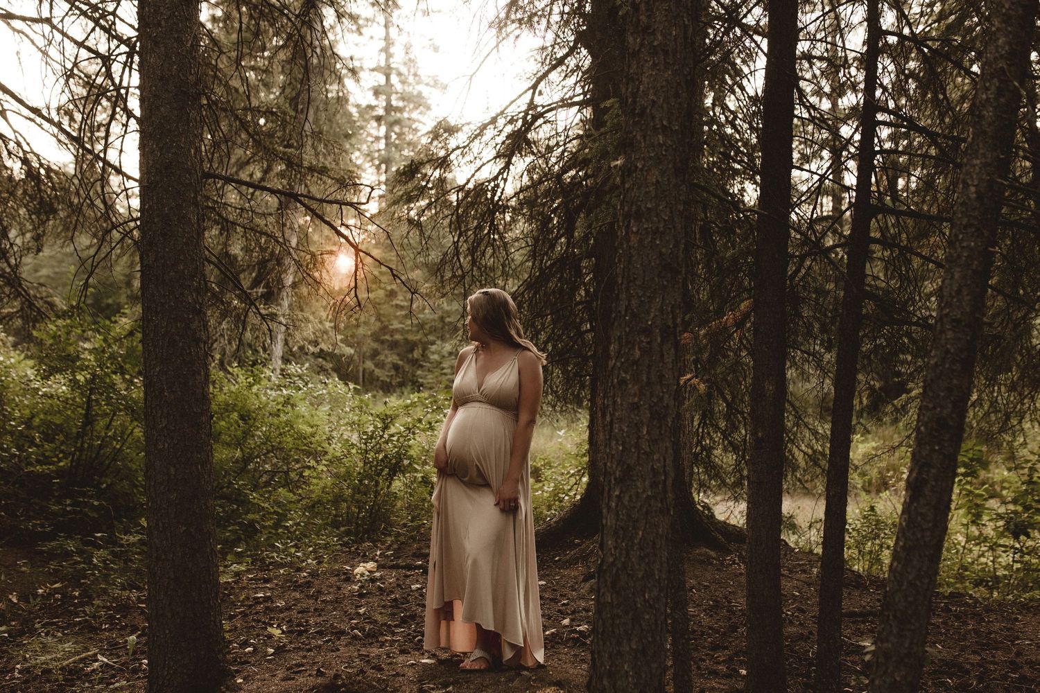 Pregnant woman in beige gown standing among tall pine trees in golden sunset light, cradling her baby bump.