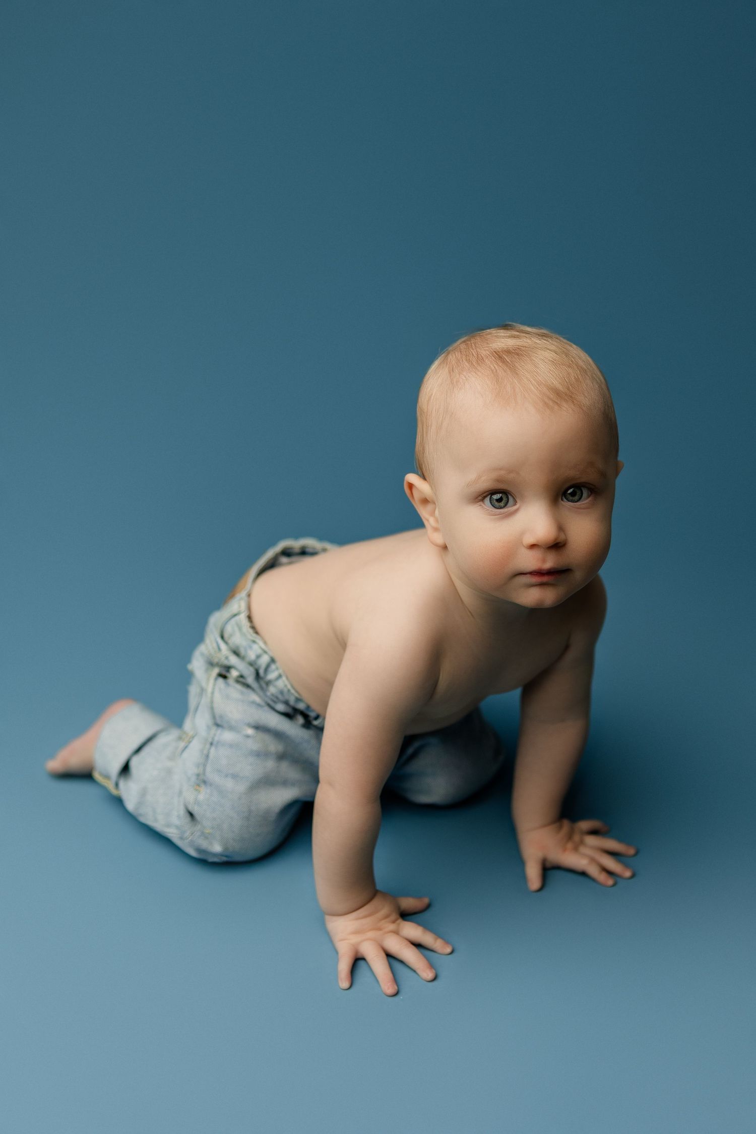Cute baby in jeans crawling on a blue background, looking at the camera with curious blue eyes.