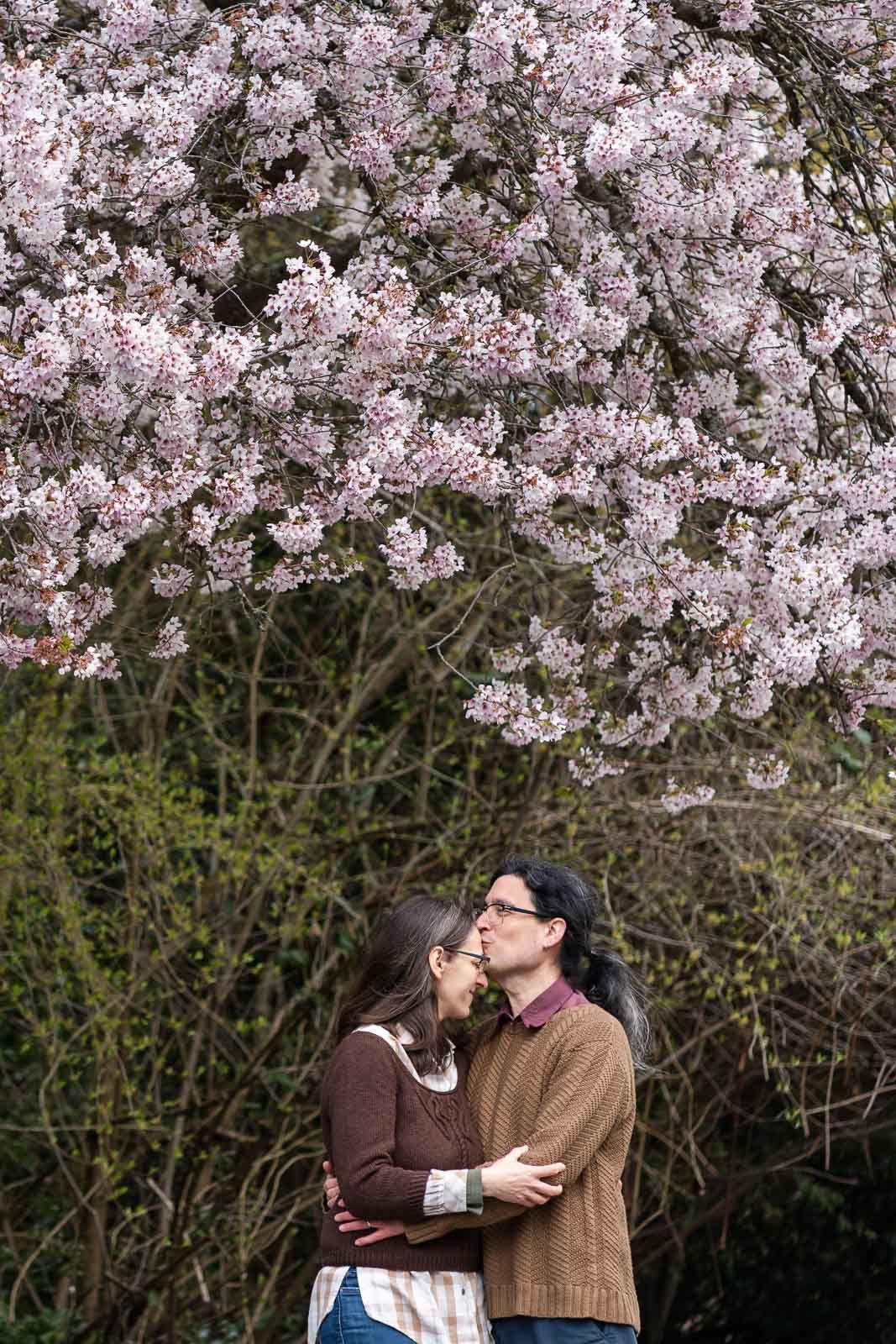 Husband kissing wife's forehead as they cuddle amongst cherry blossoms in Seattle.