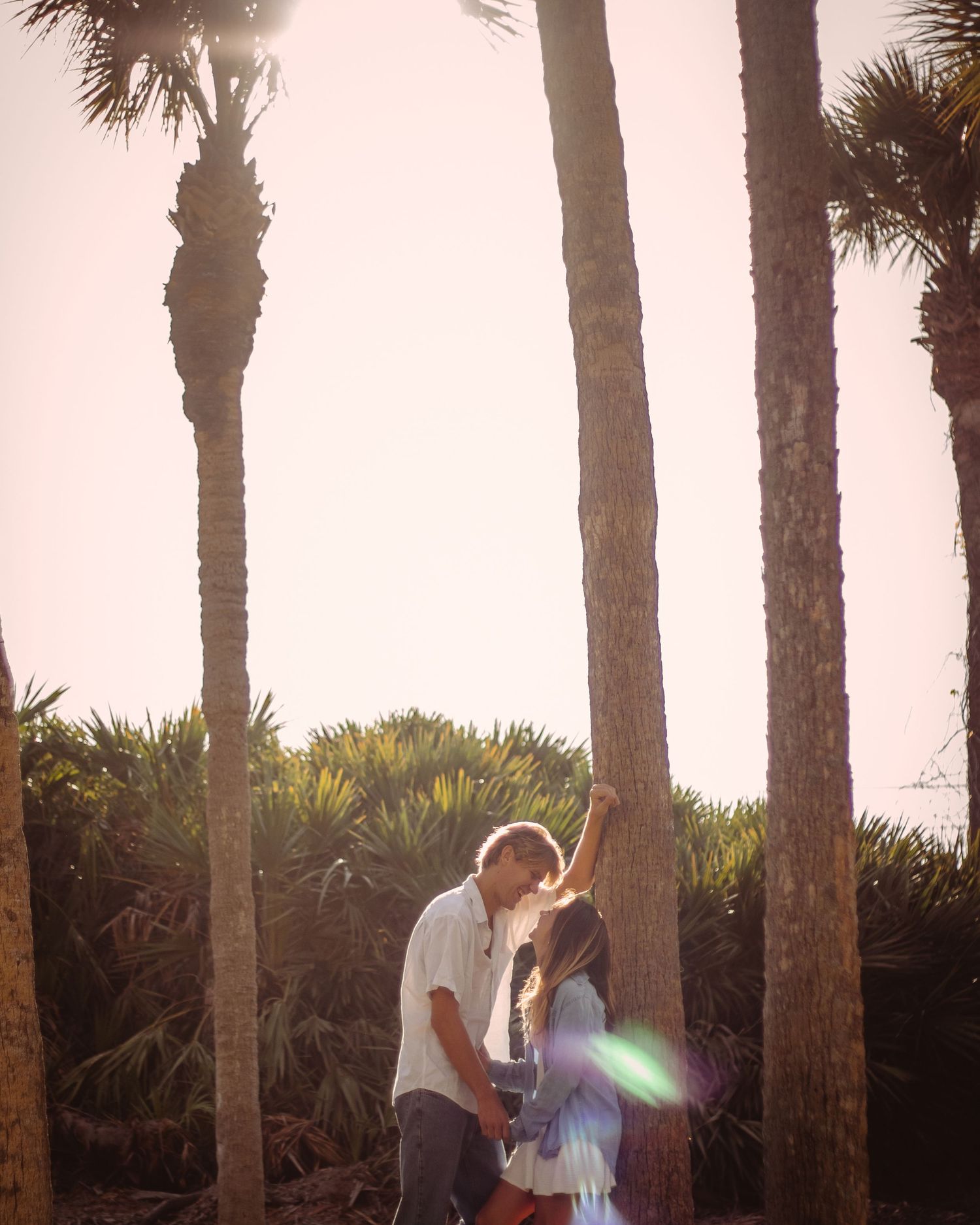 Couple kissing among tall palm trees in golden sunset light, surrounded by lush tropical greenery.
