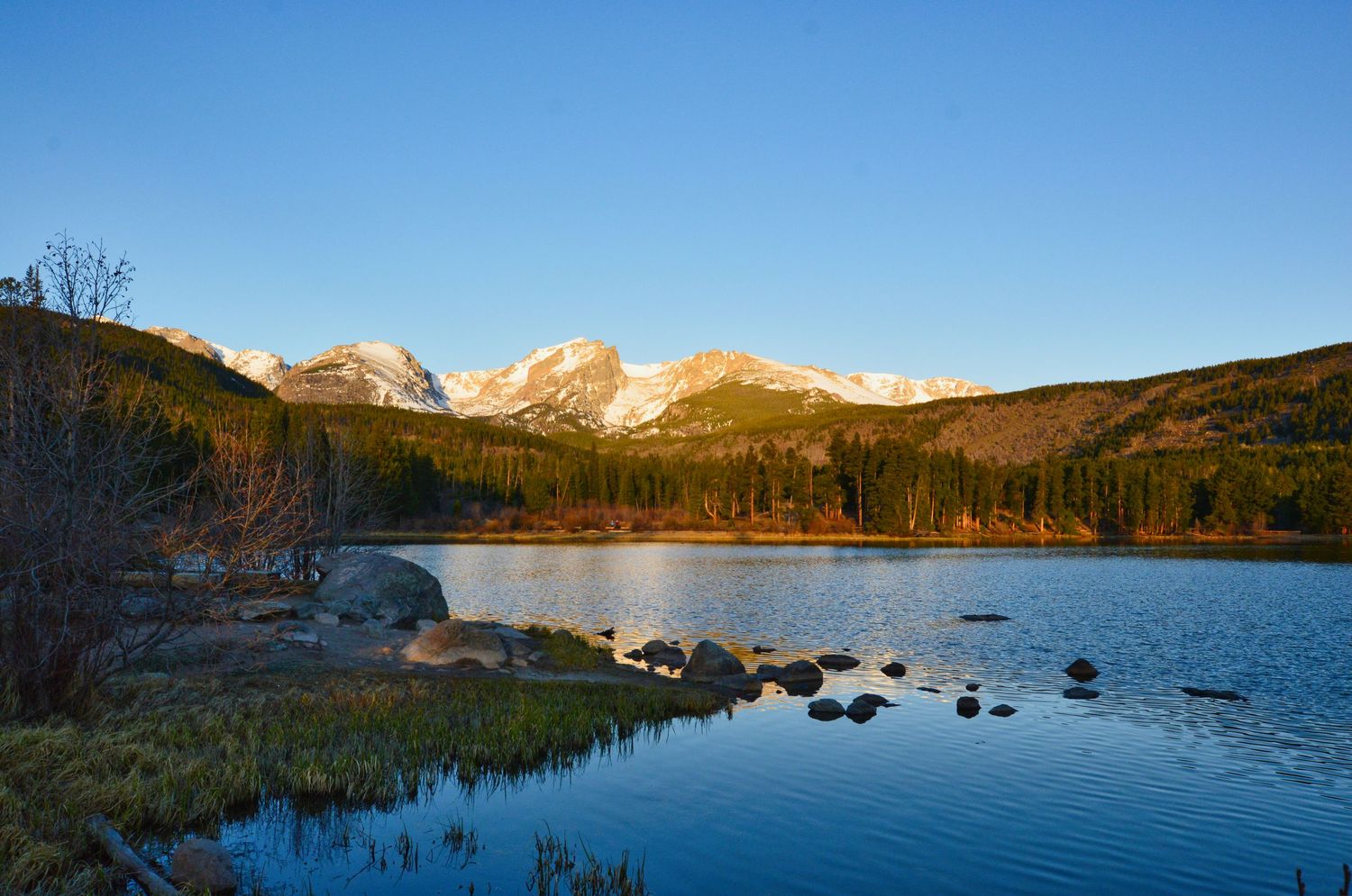 Golden mountains in the early morning hours at Sprague Lake. Pixcapades | The Rocky Mountain Proposal Photographer
