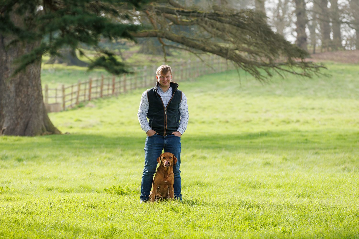 A series of seven photos showing a white horse and rider interacting at a wooden fence in an outdoor setting.