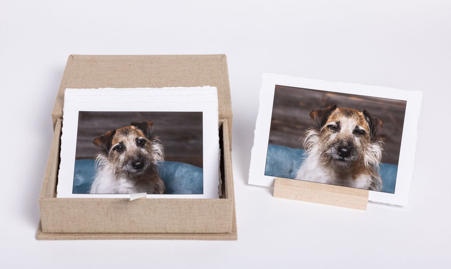 A portrait box in linen containing deckled edge prints of a wire fox terrier.
