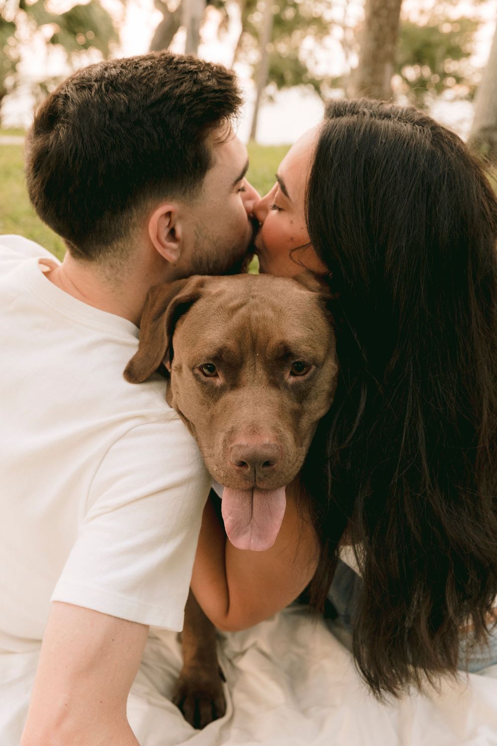 A couple kisses each other over a happy chocolate Labrador with tongue out in a park.