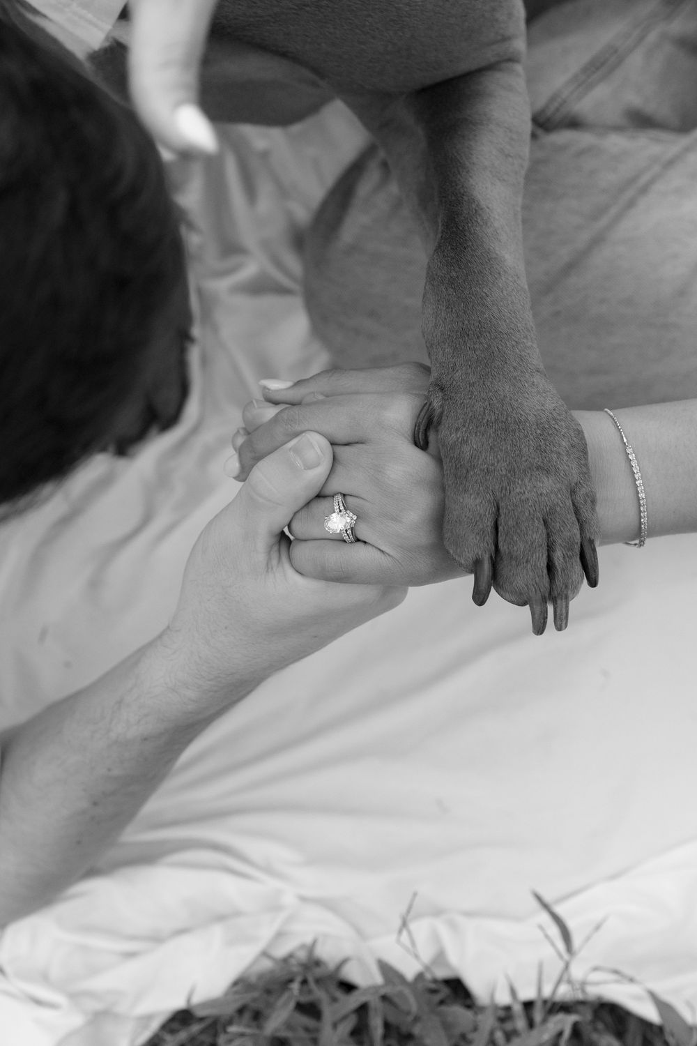 Close-up black and white photo of a couple holding hands showing an engagement ring with a dog paw joining in.