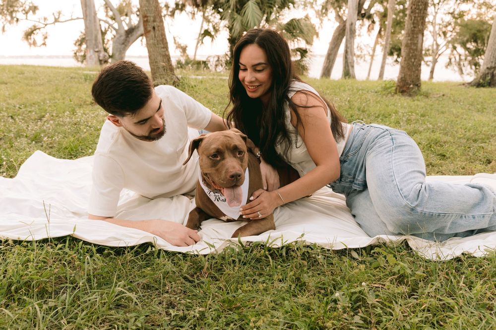 Couple relaxing on a blanket in a park with their brown pit bull dog wearing a pink bandana.