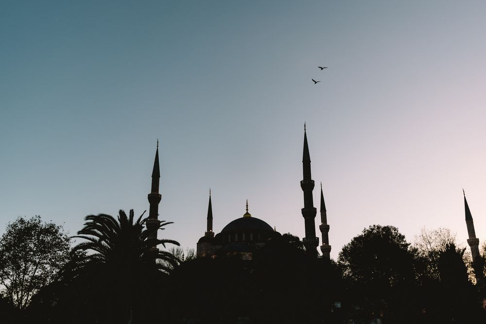 Silhouette of the Blue Mosque with minarets against a twilight sky, birds flying overhead, Istanbul, Turkey.
