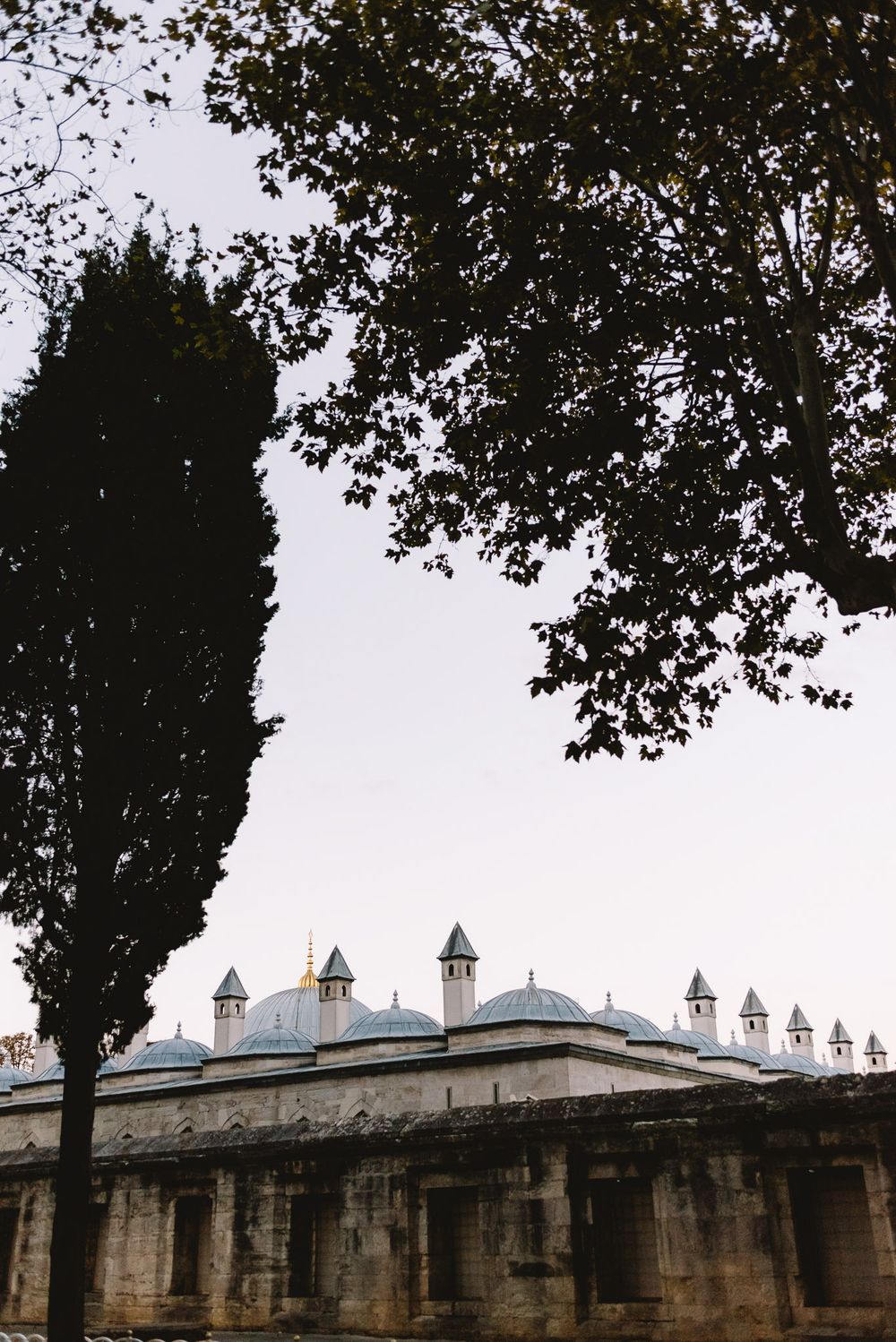 Historic Ottoman architecture with blue domed rooftops and pointed turrets framed by tall trees in Istanbul, Turkey.