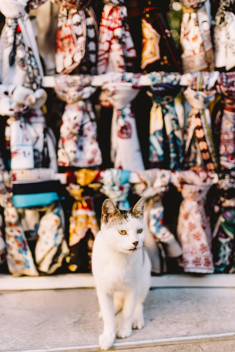 A white cat sits in front of a colorful display of patterned scarves and bags at a Turkish market stall.