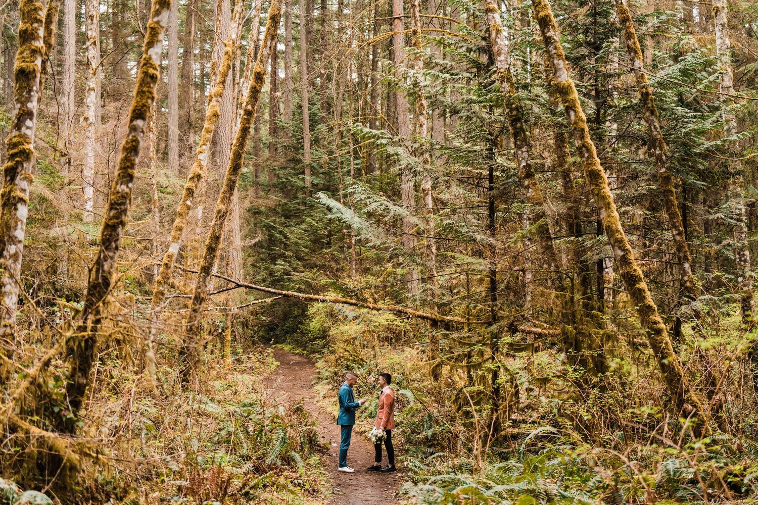 A couple shares an intimate moment on a woodland path surrounded by moss-covered trees and ferns in a Pacific Northwest forest. Bainbridge i