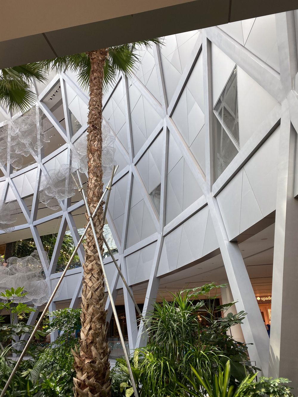 Changi Jewel, Singapore. Geometric white diamond-patterned facade with tall palm trees and tropical greenery inside a modern building.