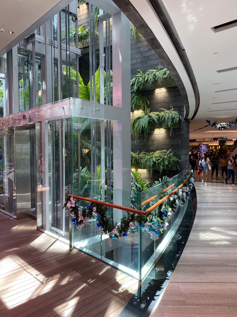 Glass elevator surrounded by lush tropical plants and ferns in a modern shopping mall atrium with decorative railings.