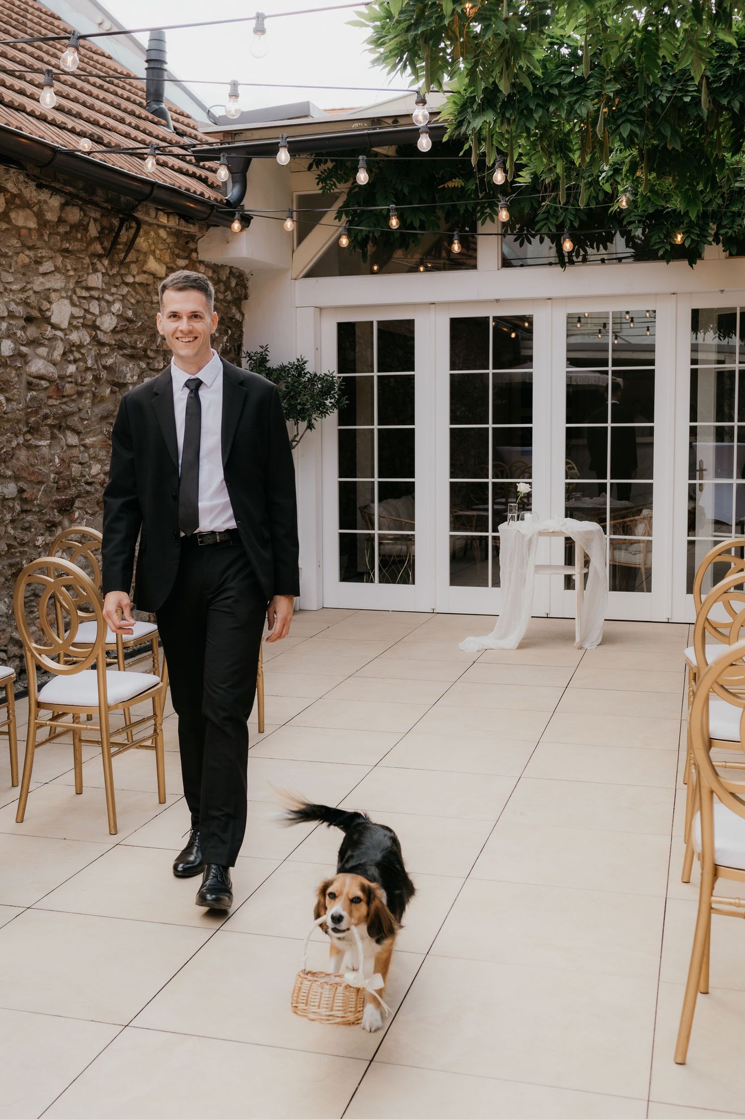 Groom in black suit walks with small dog wearing graduation cap carrying basket at outdoor wedding venue.