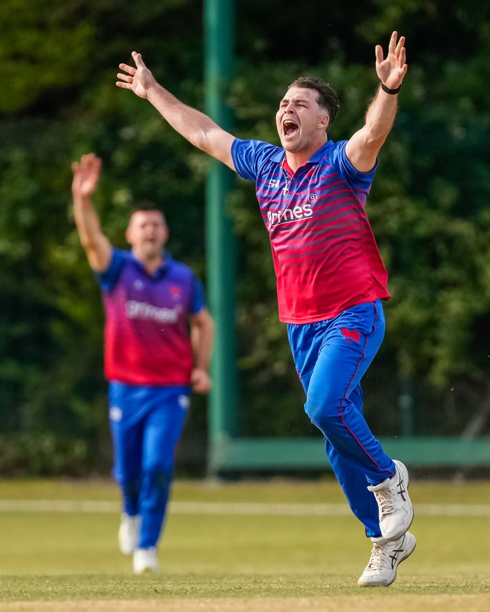 3rd July 2025; Curtis Campher celebrates taking a wicket v Malahide in Cricket Ireland's Senior Cup Semi Finals at Castle Avenue, Dublin.
