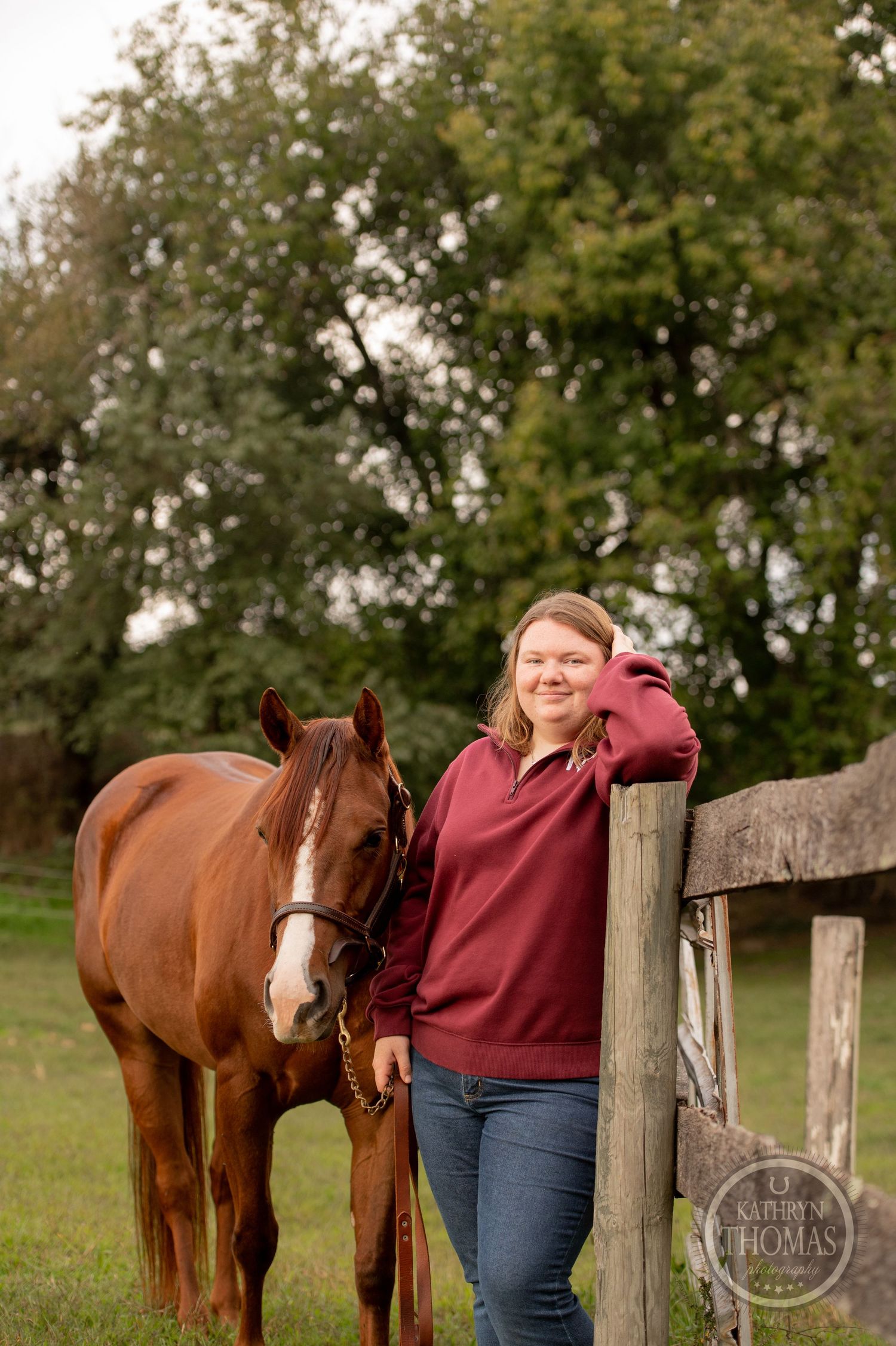 A beautiful chestnut horse with a white blaze poses by a wooden fence in a grassy field.