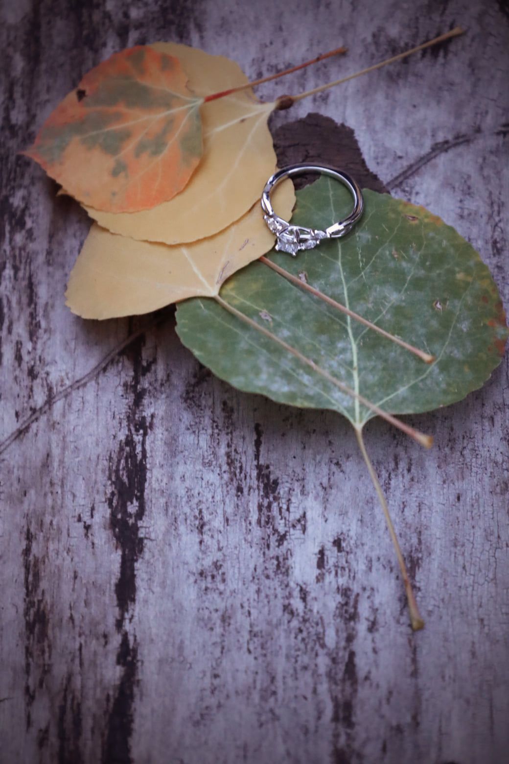 A silver diamond engagement ring resting on colorful autumn leaves on a rustic wooden surface.
