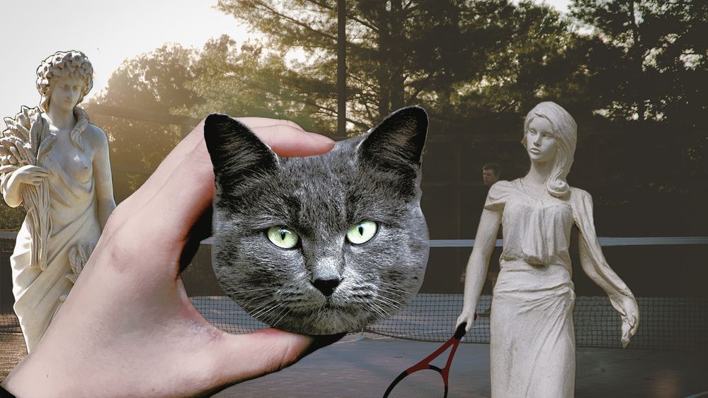 Cat Tennis