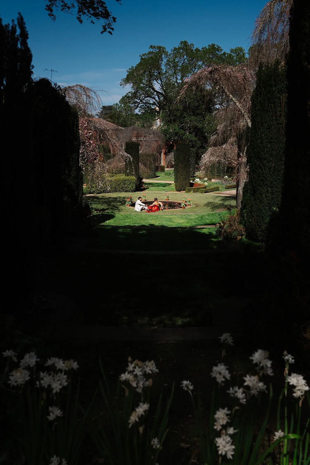People relaxing on green lawn in formal garden with hedges, white daffodils, and blue sky.