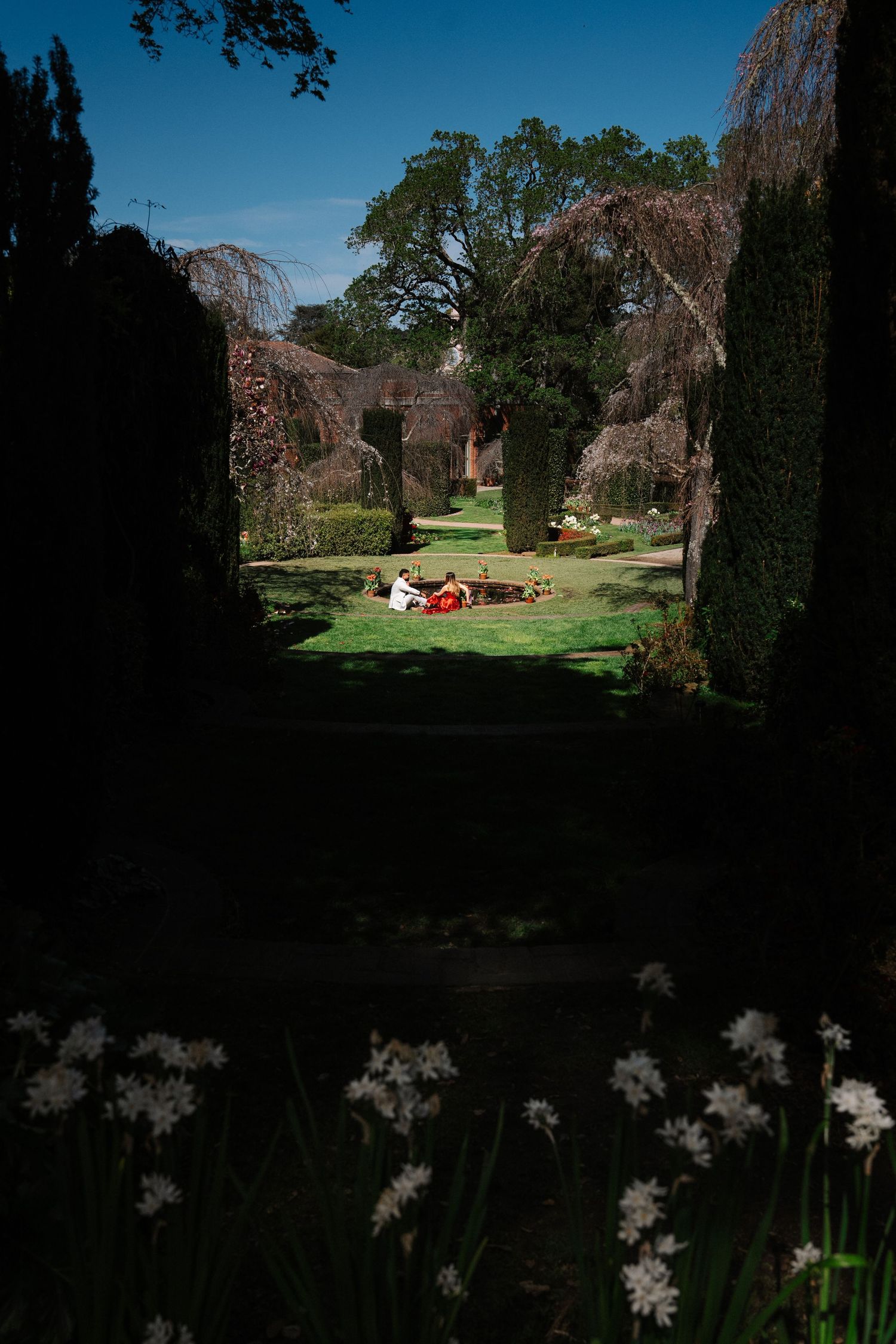 People relaxing on green lawn in a formal garden with tall hedges, white flowers, and blue sky.