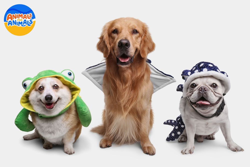 animals for animals PH