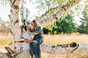 Couple embracing by birch trees in sunlit meadow.