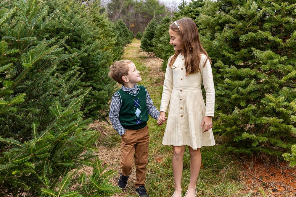 A group of people walk through a Christmas tree farm on a sunny autumn day selecting their perfect evergreen tree.