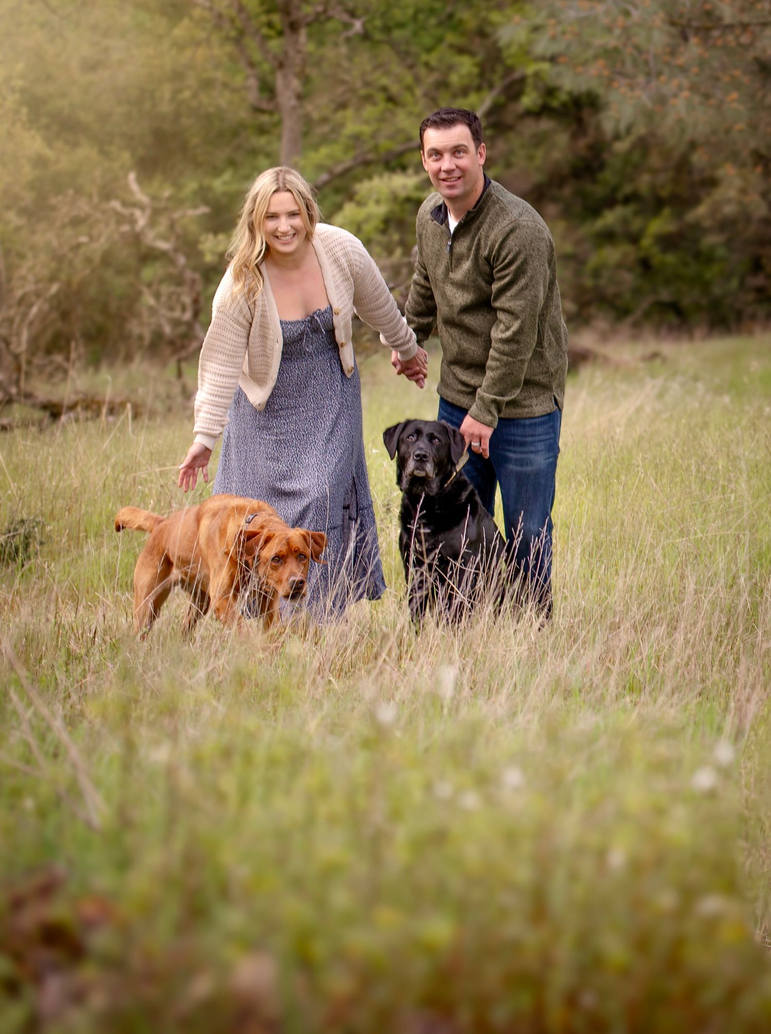 A couple plays with their dogs in a grassy field during a lifestyle session