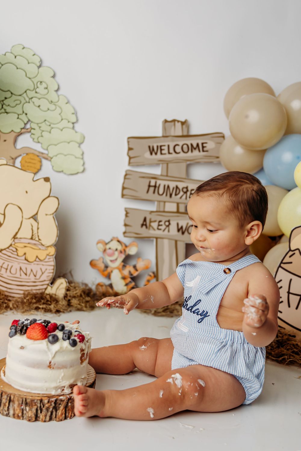 Baby in blue romper celebrates first birthday with Winnie the Pooh themed cake smash photo session.