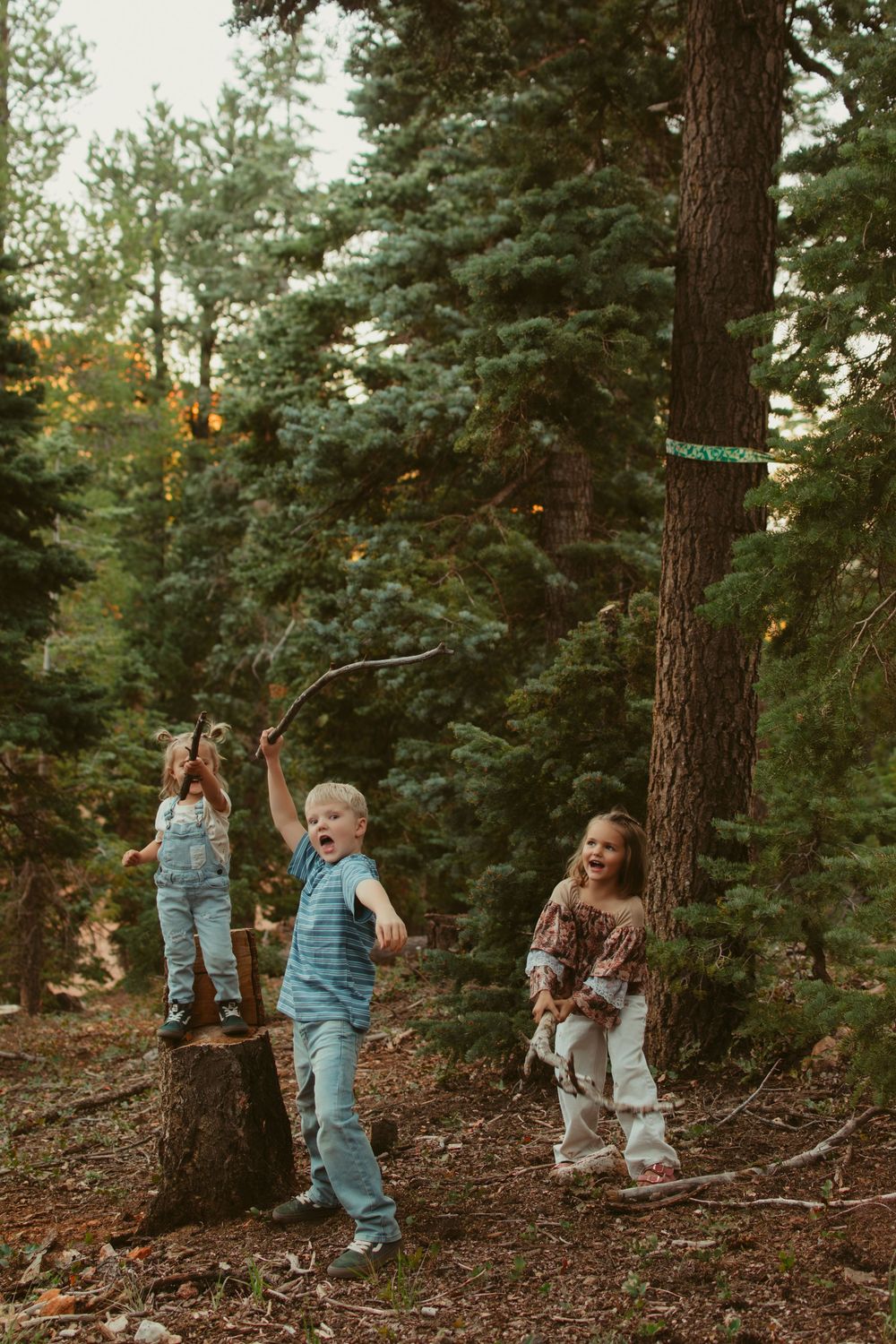Three children playing in a pine forest, one holding a stick, surrounded by tall evergreen trees on a warm evening.