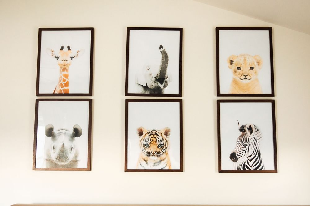 Six framed baby animal prints on a wall featuring a giraffe, elephant, lion, rhino, tiger, and zebra. Bristol Rhode Island Portsmouth