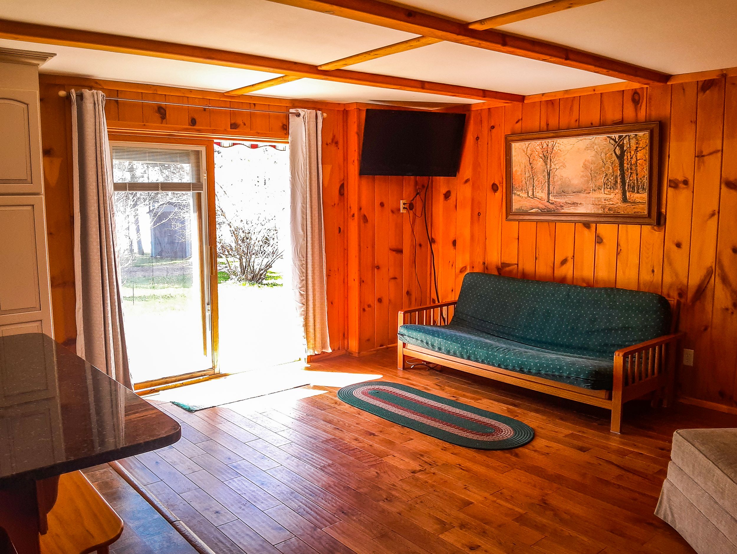 Wood-paneled living room with teal futon, sliding glass door, and hardwood floors.